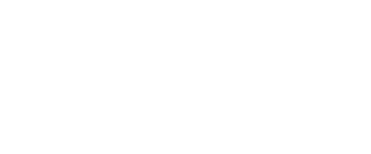 20%